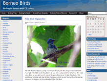 Tablet Screenshot of borneobirds.com